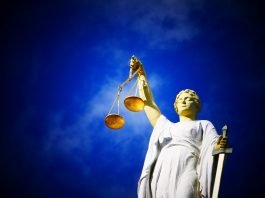 ⚖️ | Michel Ohayon : le rejet du plan de la FIB accélère-t-il la mise sur le marché de trois joyaux de l’hôtellerie française ?