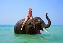 Thaïlande | Les réservations hôtelières internationales approchent les 50 %