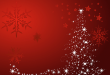 Y aura-t-il un serveur à Noël ?