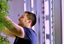Economie verte | Au cœur de Lyon, une micro-ferme au maxi-rendement, fournissant 80 restaurants