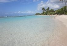 Guadeloupe | Le retour de la belle saison pour le secteur du tourisme