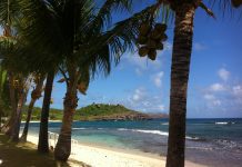 Saint-Barth, soleil, luxe et résilience Saint-Barth, soleil, luxe et résilience