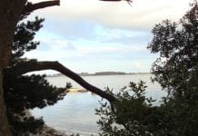 Morbihan. Projet d’hôtel de luxe sur l’Ile Berder, la justice suspend le permis de construire.