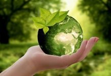 Suisse | Les Roches crée une spécialisation Développement Durable au sein de son programme Bachelor