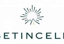 Présentation des Etincelles, le groupe hôtelier de luxe des Alpes françaises