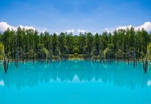 Japon | Club Med va ouvrir un resort à Hokkaido au Japon