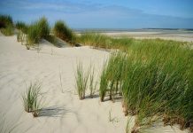 Polémique | «Le projet se fera, Le Touquet a besoin de cet hôtel»