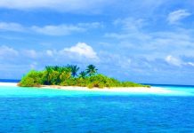 Ultimate Library | Un complexe aux Maldives recherche « un libraire aux pieds nus »