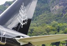La Four Seasons Private Jet Experience passera par Maurice en 2023