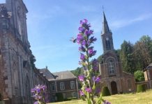 Belgique | Le projet d’un hôtel de luxe à l’Abbaye d’Aulne à Thuin sur de bons rails !