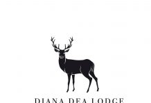 La Réunion | Après l’incendie, Le Diana Dea Lodge renaît de ses cendres : réouverture prévue le 11 novembre !