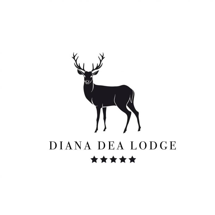 La Réunion | Après l’incendie, Le Diana Dea Lodge renaît de ses cendres : réouverture prévue le 11 novembre ! La Réunion | Après l’incendie, Le Diana Dea Lodge renaît de ses cendres : réouverture prévue le 11 novembre !