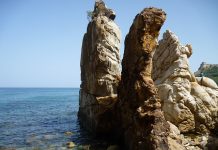 Tunisie | Tabarka nouveau « spot touristique », Sahbi Akkari reprend « La Forêt » et le groupe Majda rénove El-Morjane »,