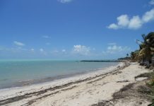 Tulum, Mexique | Ennismore annonce pour 2024 le premier hôtel nord-américain de JO&JOE