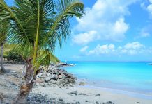 Martinique | L’hôtel Marouba au Carbet et l’Hôtel Club des Trois Îlets enfin repris !