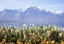 Décès , Suisse | Quel avenir pour « Montreux Suisse Hotels & Resort » après le décès de son fondateur, Tony Murray