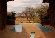 Panorama, Afrique | 2023 : Hilton, Marriott et Accor en tête 🌍 !
