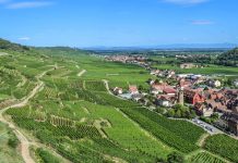 Économie | Une nouvelle foncière pour développer le tourisme durable en Grand Est