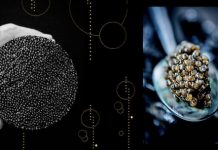 Fusion | Groupe Prunier, nouveau roi du caviar !