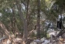Pollution, Indonésie | Un hôtel 5* « durable » mis en cause par une vidéo virale d’Hugo Clément