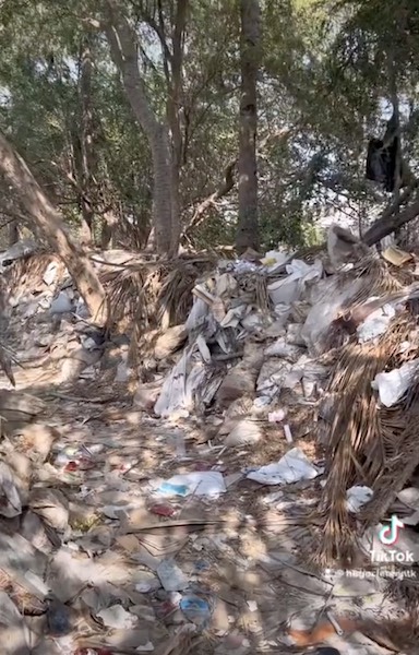 Pollution, Indonésie | Un hôtel 5* « durable » mis en cause par une vidéo virale d’Hugo Clément Pollution, Indonésie | Un hôtel 5* « durable » mis en cause par une vidéo virale d’Hugo Clément