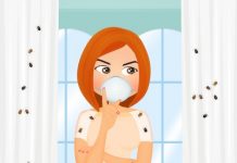 Bedbugs, bad buzz | AirBnB, principale victime des punaises de lit ?