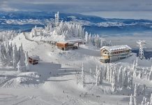 Roumanie, Ouverture | Kempinski Hotels dévoile les plans d’une station de ski chic dans les Carpates roumaines Panoramic view over the ski slope Poiana Brasov ski resort in Transylvania, Pine forest covered in snow on winter season,Mountain landscape in winter @ credit Depositphotos