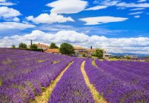 Financement/Acquisitions, France | 30 millions d’euros de capitaux supplémentaires pour Castellet Hospitality avec Three Hills