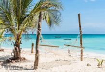 Tanzanie, ouverture 2027 | À Zanzibar, un hôtel 7* en projet sur l’île de Pemba ! palm and hammock on Zanzibar beach with blue sky and ocean on the background @ credit Depositphotos
