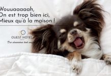 Investissements | Turenne Hôtellerie s’invite chez Ouest Hotel Group (15 hôtels) @ credit Ouest Hotel Group / OHG.jpg