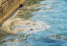Scandale écologique, IDF | Cette société recyclait les déchets des restaurants… dans le réseau des eaux usées de la ville ! Pollution @ credit Depositphotos