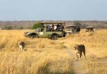 Tourisme mondial, étude WTTC | La Tanzanie explose, le Japon confirme et les Philippines s’envolent !
