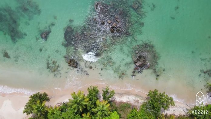 Ouverture septembre 2024, Madagascar | Philippe Kjellgren (PK’s List et Kiwi Collection) lance « Voaara » Ouverture septembre 2024, Madagascar | Philippe Kjellgren (PK’s List et Kiwi Collection) lance « Voaara »