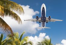 Justice | Amendes record pour Air Caraïbes, Air Antilles et Aérogestion dans une affaire d’ententes anticoncurrentielles Bottom View of Passenger Airplane Flying Over Tropical Palm Trees.