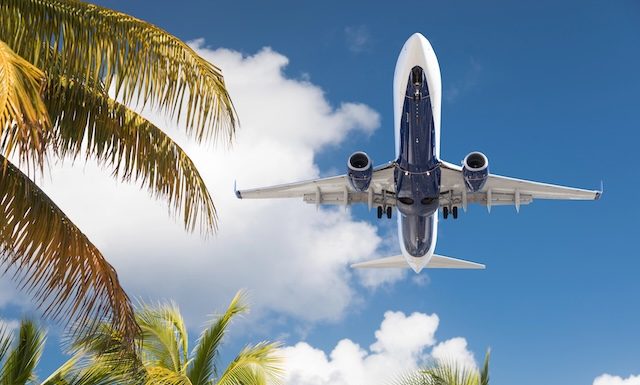 Bottom View of Passenger Airplane Flying Over Tropical Palm Trees.