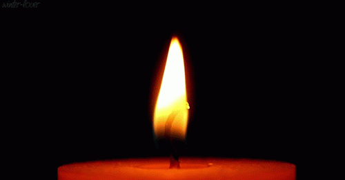 Hommage | Disparition d’Adeline Brault-Meslin, vingt ans de ressources humaines dans l’hôtellerie