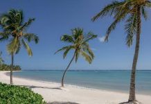 Ouverture 2029, République Dominicaine | À Punta Cana, un premier établissement pour Rosewood @ credit Rosewood Hotel Group