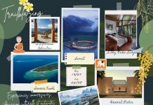 Tendance | Les hôtels « trailblazers », bien plus qu’une nuitée ! Traiblazers Hotels