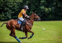 Espagne, Développement | En Andalousie, le Val de Guadiaro futur pôle européen du polo, développement hôtelier à l’appui Illustration polo @ credit Depositphotos