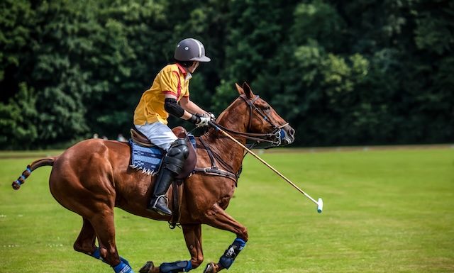 Illustration polo @ credit Depositphotos