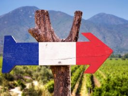 Œnotourisme en France @ credit Depositphotos
