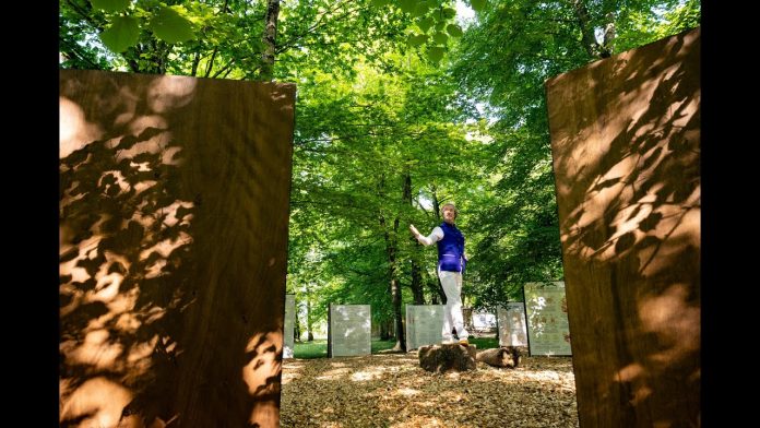 Investissements, Val de Loire | Le Château de la Bourdaisière entre dans une nouvelle ère avec le soutien de Bpifrance Investissements, Val de Loire | Le Château de la Bourdaisière entre dans une nouvelle ère avec le soutien de Bpifrance