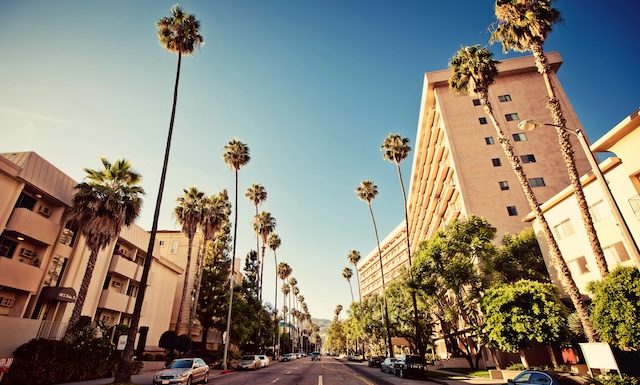 Palm streets of Beverly Hills, Los Angeles, California
