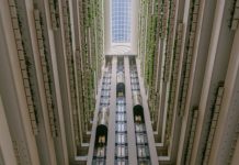 🇦🇺 Rebranding, Australie | InterContinental s’installe à Brisbane, une première pour la marque dans la River City @ credit InterContinental Brisbane