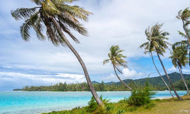 White sand beach at Coral Garden, Huahine, French Polynesia, with turquoise waters