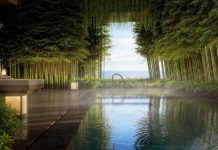 Asie | Aman annonce le lancement d’Aman Singapore au sein de The Skywaters Aman Singapore - Spa House Pool, Render