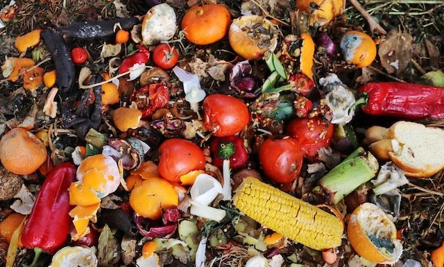 Gaspillage alimentaire @ credit Depositphotos.com