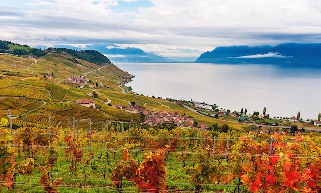 Lavaux @ credit Depositphotos.com