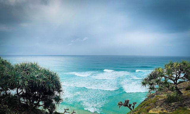 Illustration Magnifique paysage marin avec palmiers et pandanus, île de North Stradbroke, Queensland, Australie