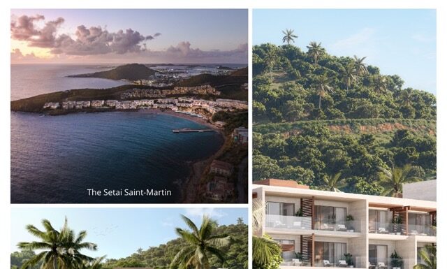 @ credit The Setai Martin